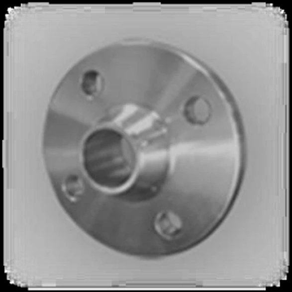 Plate Flange Stainless Steel